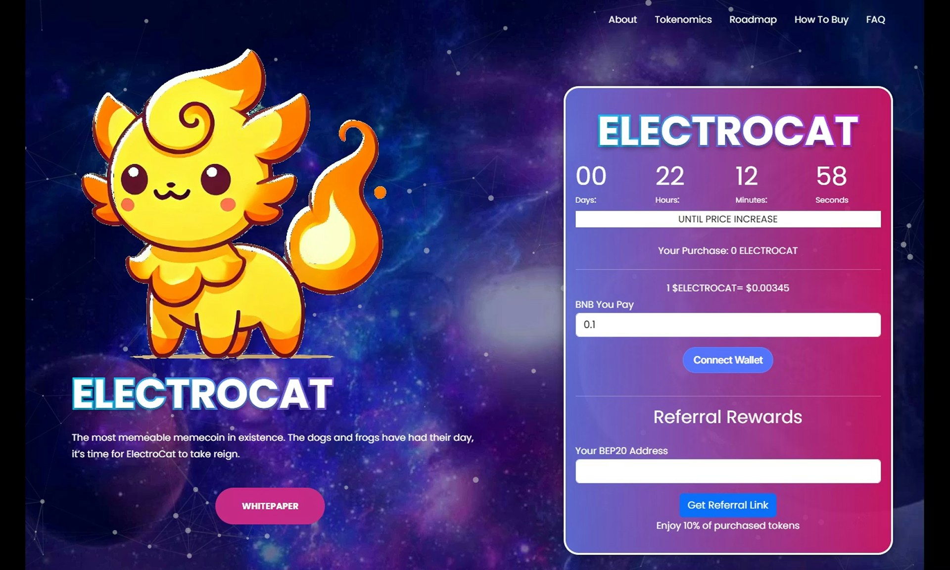 electrocat fraud