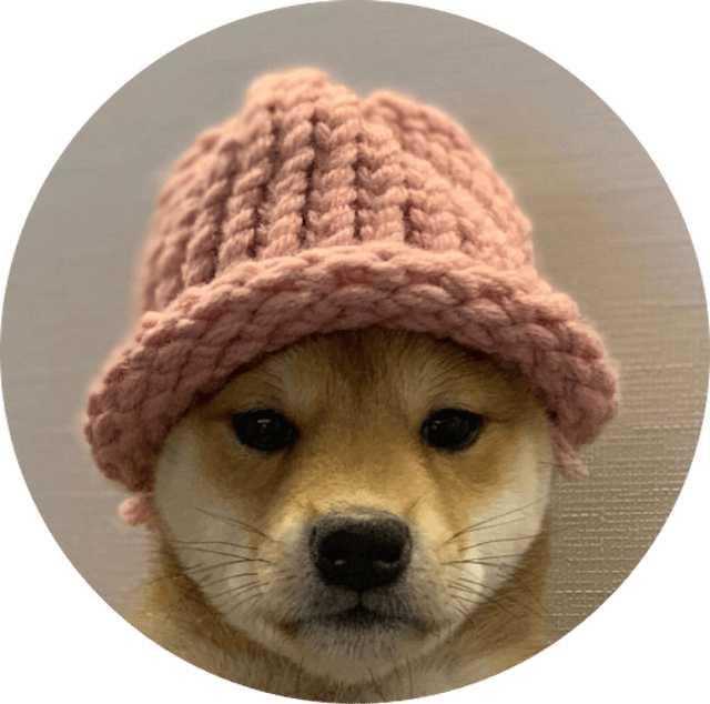 No alt text