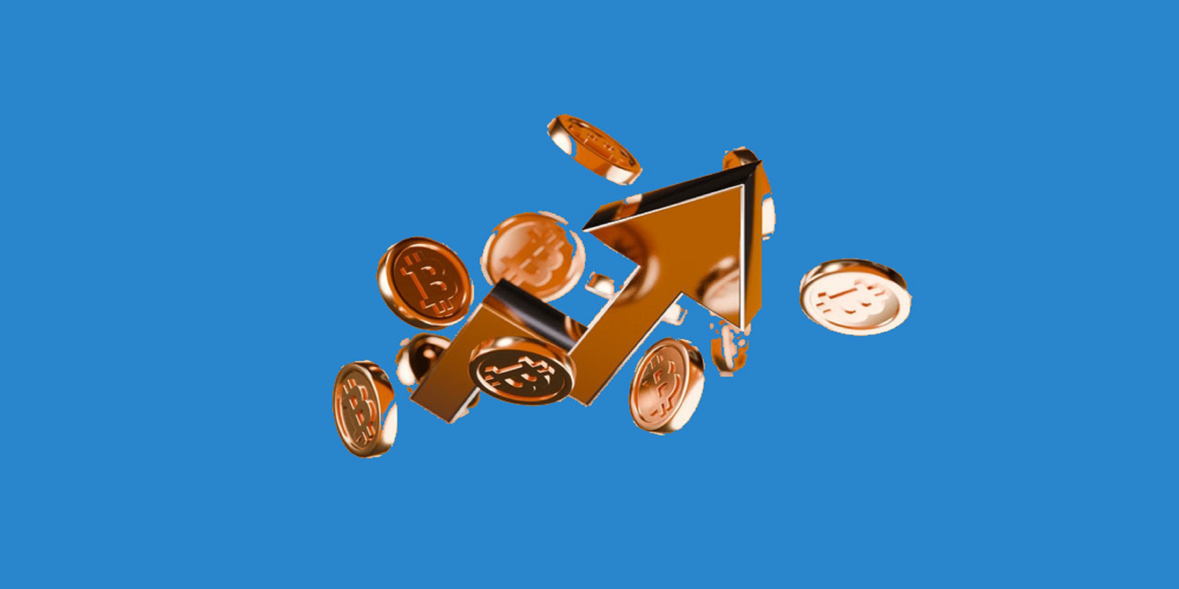 From Wallet to Fiat: How to Cash Out Your USDC