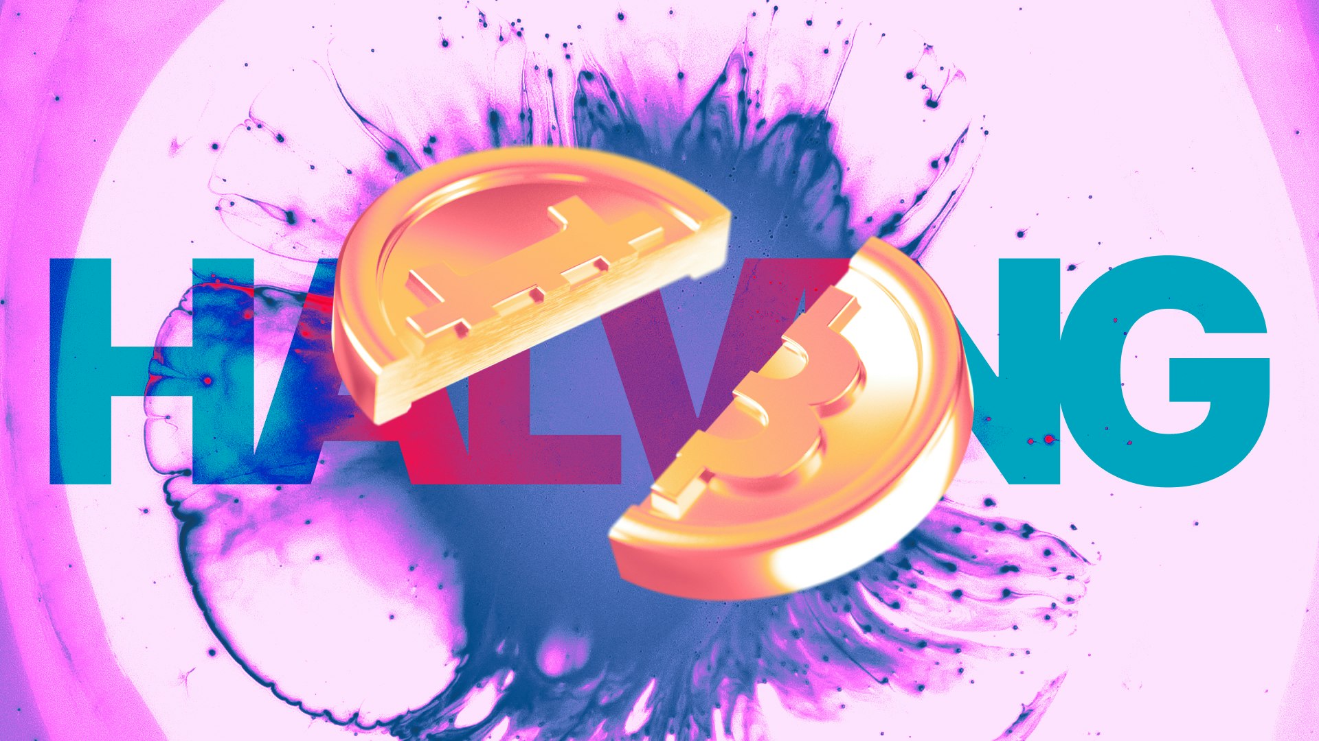 bitcoin halving price, when to buy, best crypto exhange