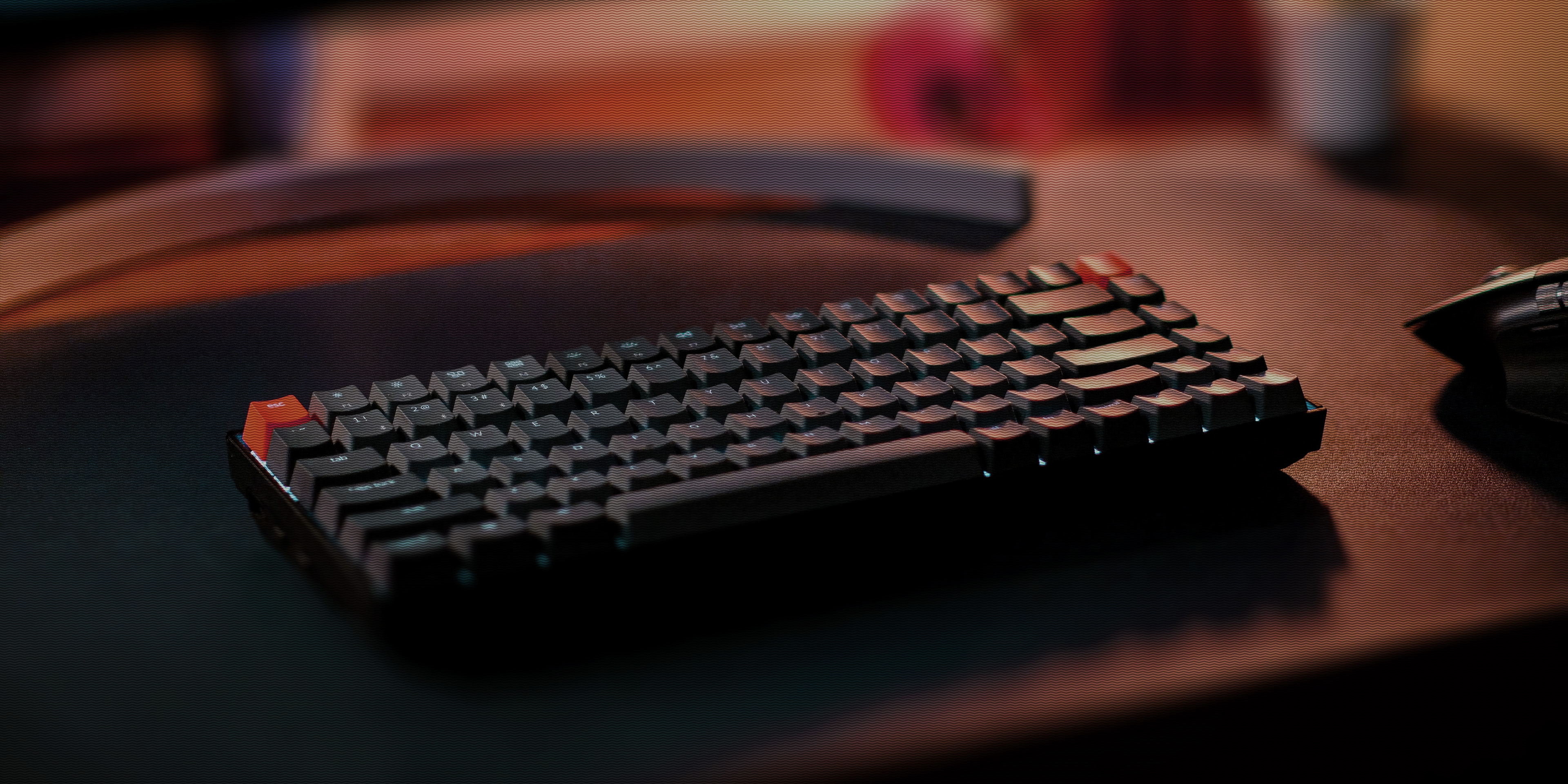 Bug Bounty Program & Crypto Bounty Campaign