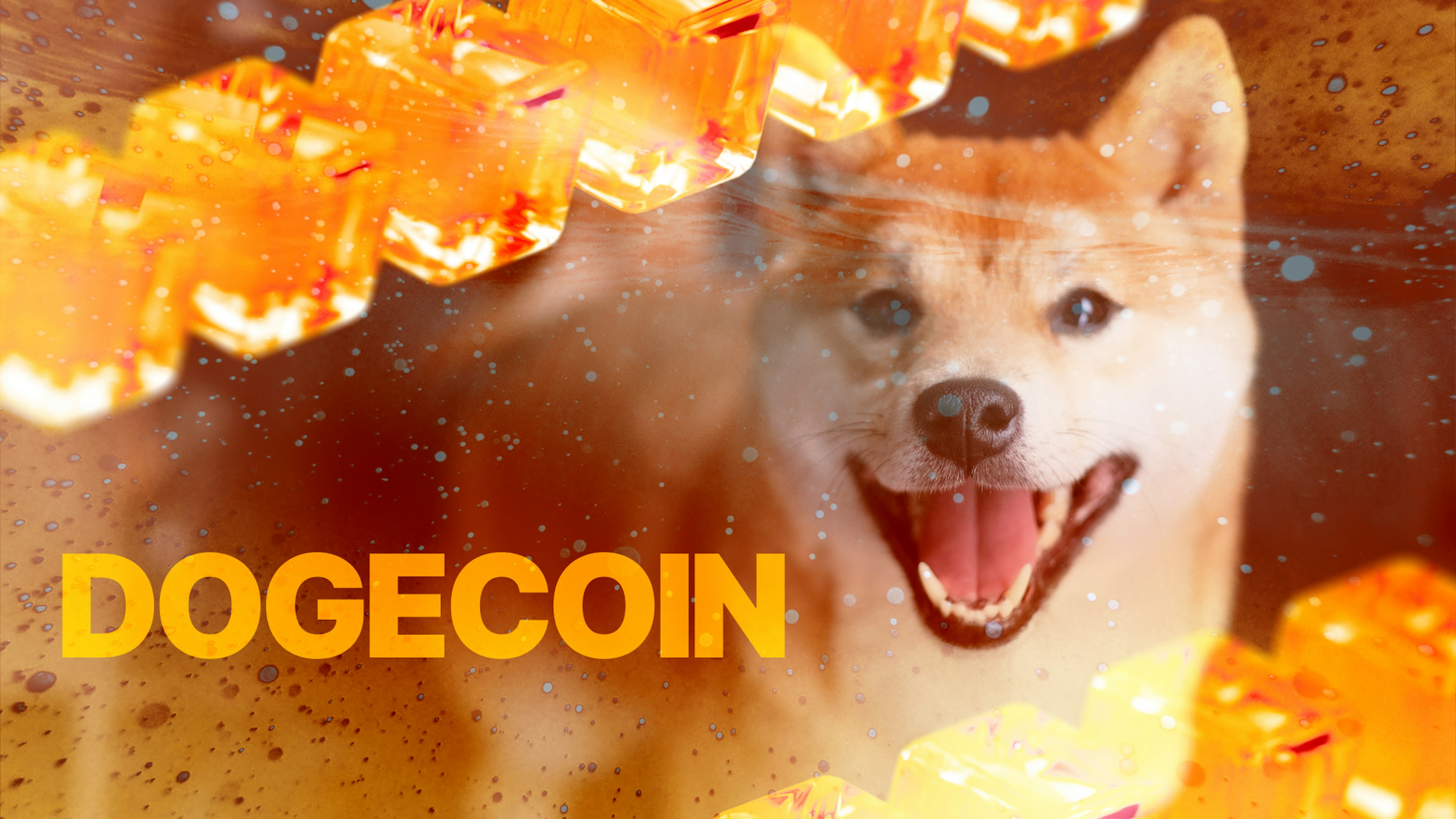 institutions and dogecoin doge