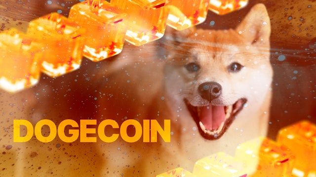 institutions and dogecoin doge