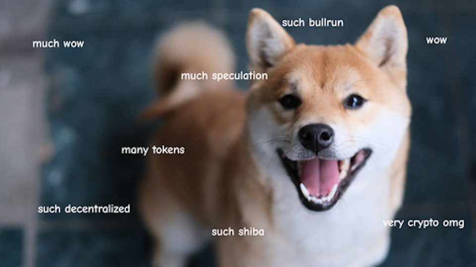 memecoins, memecoin, crypto types, crypto, shib, doge, bonk, dogwifhat,
